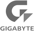 Gigabyte